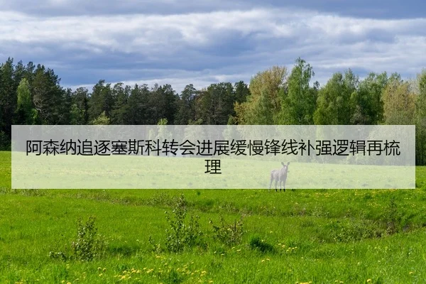 阿森纳追逐塞斯科转会进展缓慢锋线补强逻辑再梳理